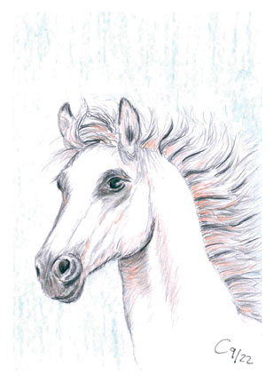 Postkarten - spirituelle Kunst – Bild 5