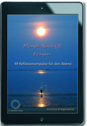 Mond-Nach(t)-Fragen - 49 Reflexionsimpulse für den Abend